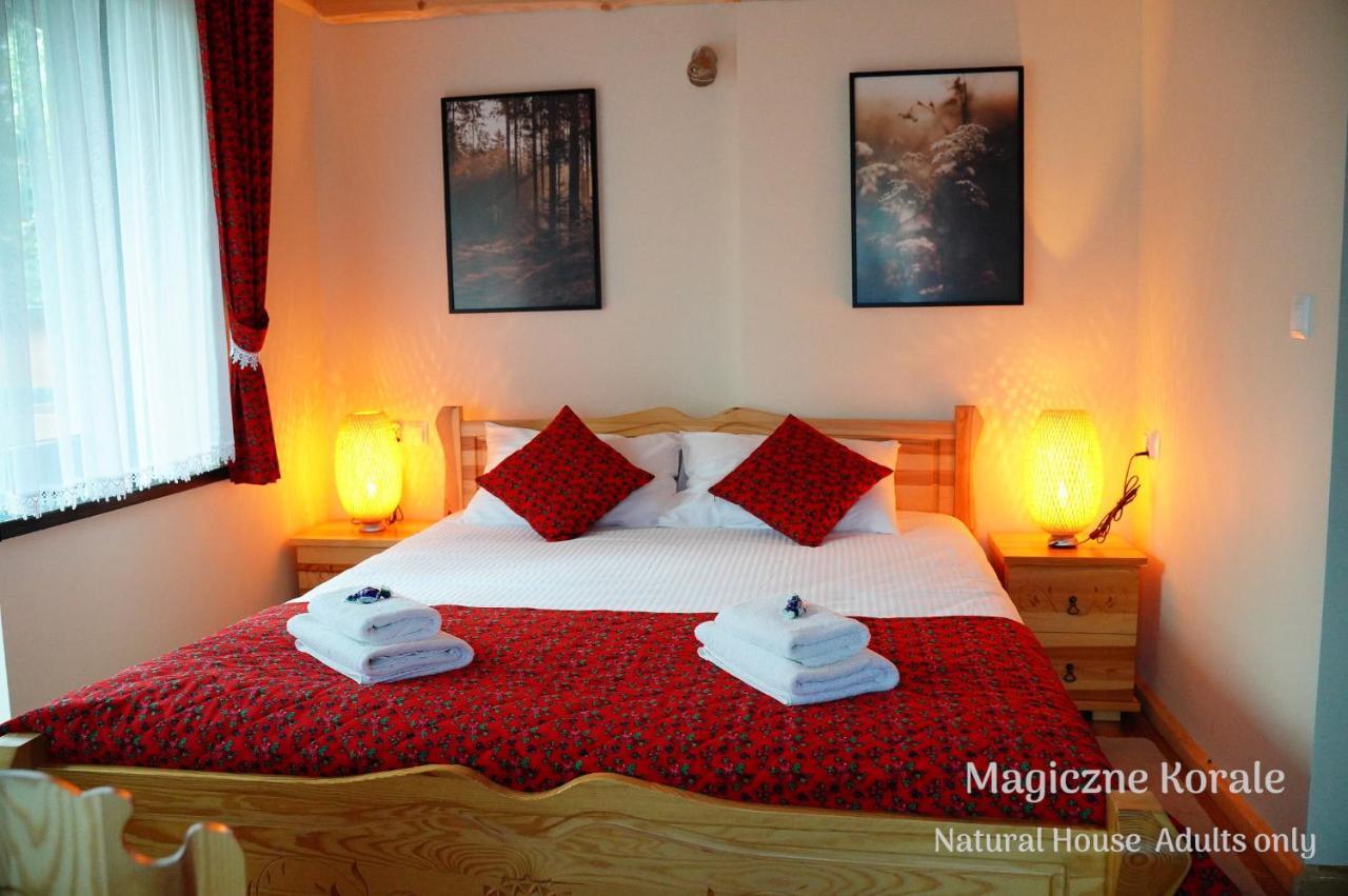 Magiczne Korale - Natural House - Sauna - ADULT ONLY Kościelisko Esterno foto