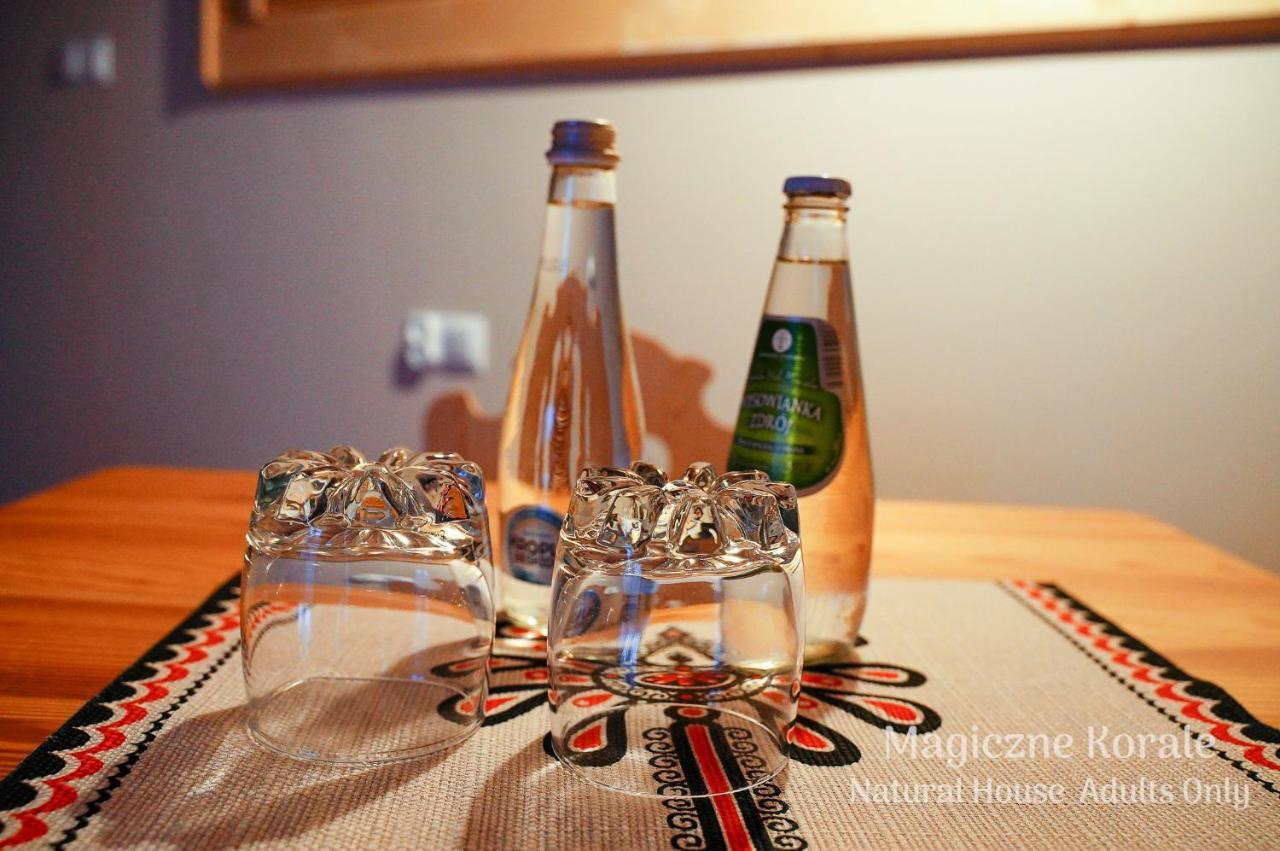 Magiczne Korale - Natural House - Sauna - ADULT ONLY Kościelisko Esterno foto