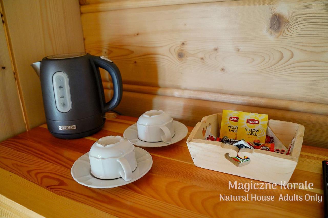 Magiczne Korale - Natural House - Sauna - ADULT ONLY Kościelisko Esterno foto