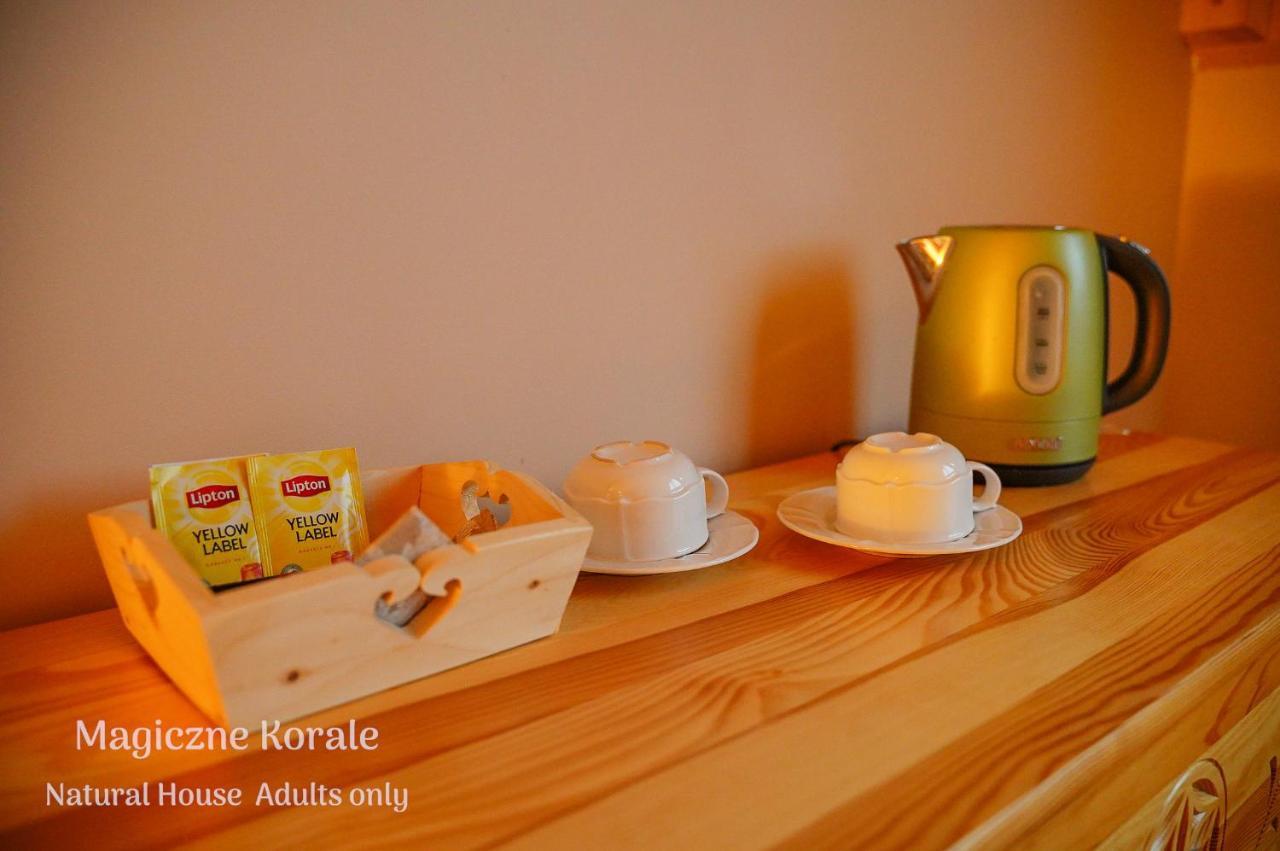 Magiczne Korale - Natural House - Sauna - ADULT ONLY Kościelisko Esterno foto