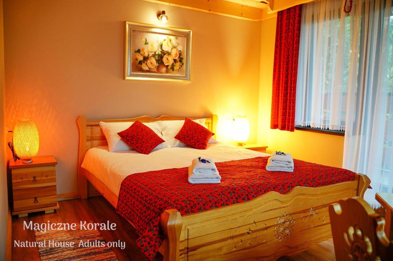 Magiczne Korale - Natural House - Sauna - ADULT ONLY Kościelisko Esterno foto