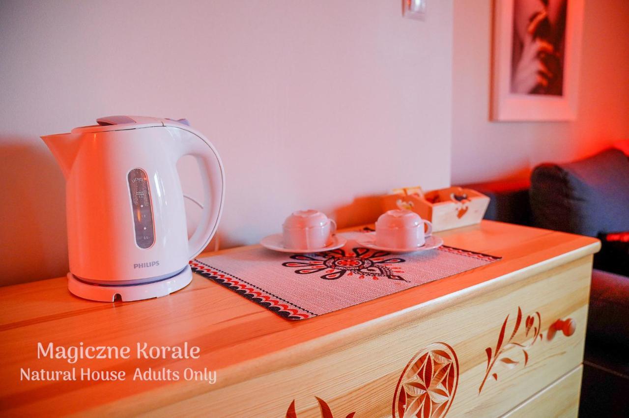 Magiczne Korale - Natural House - Sauna - ADULT ONLY Kościelisko Esterno foto