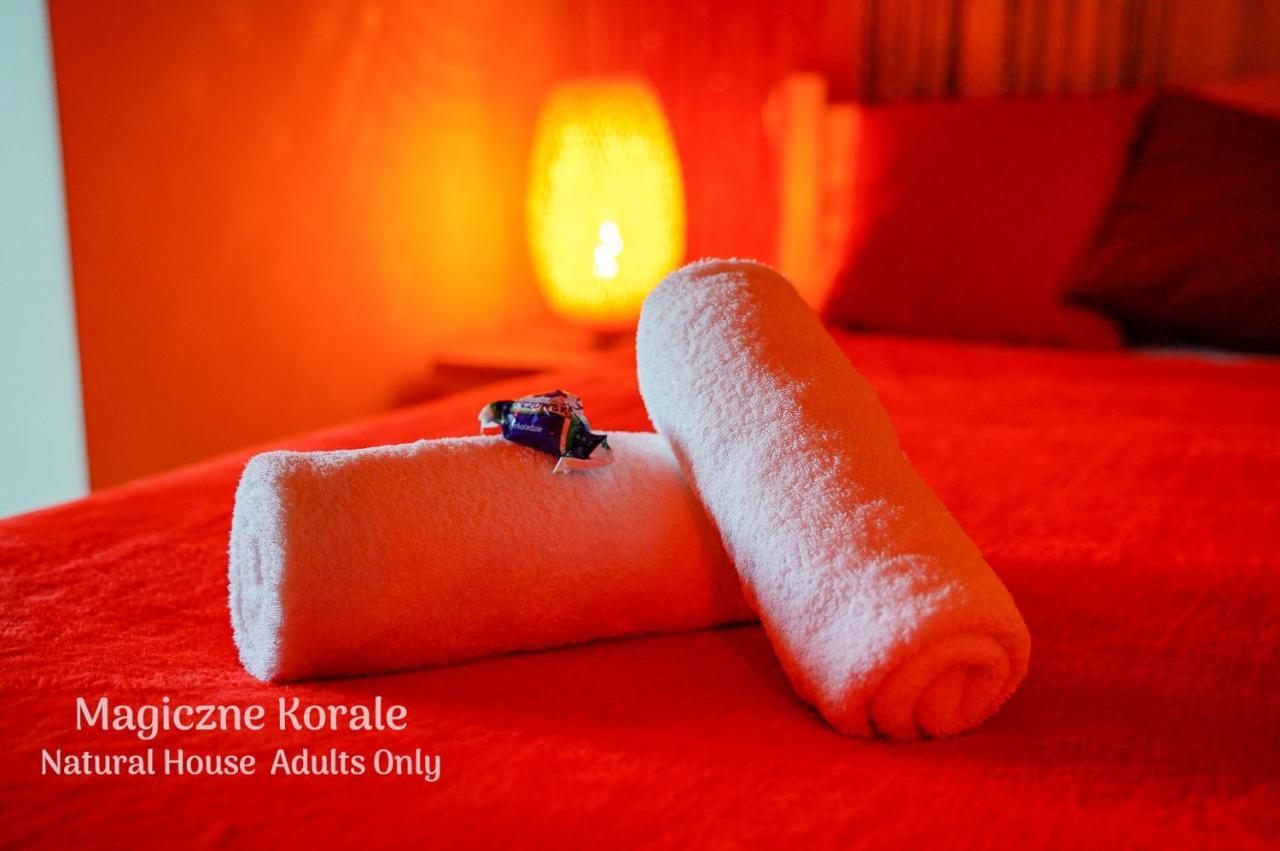 Magiczne Korale - Natural House - Sauna - ADULT ONLY Kościelisko Esterno foto